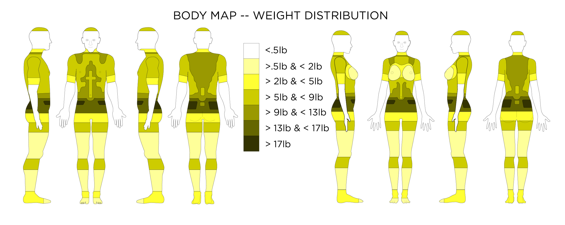 Human Weight Distribution Chart